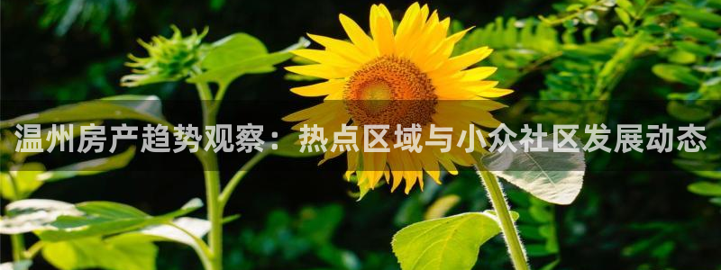 新宝5app：温州房产趋势观察：热点区域与小众社区发展动态