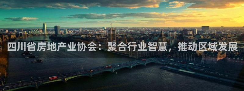 新宝5官网：四川省房地产业协会：聚合行业智慧，推动区域发展