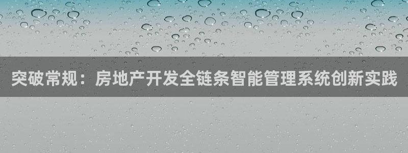 新宝5娱乐网址：突破常规：房地产开发全链条智能管理系统创新实