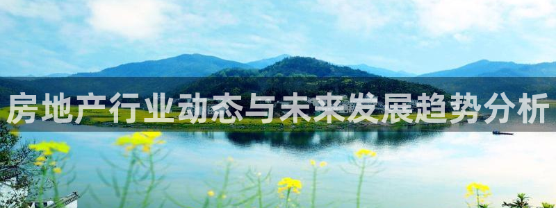 新宝那2O5O5O：房地产行业动态与未来发展趋势分析