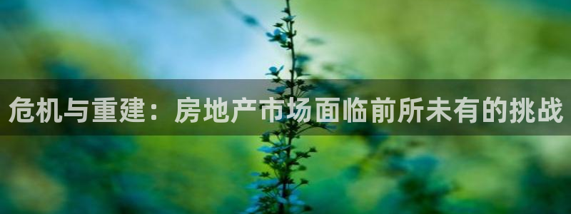 新宝5娱乐代理：危机与重建：房地产市场面临前所未有的挑战