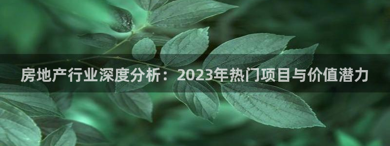 新宝5账号注册：房地产行业深度分析：2023年热门项目与价值