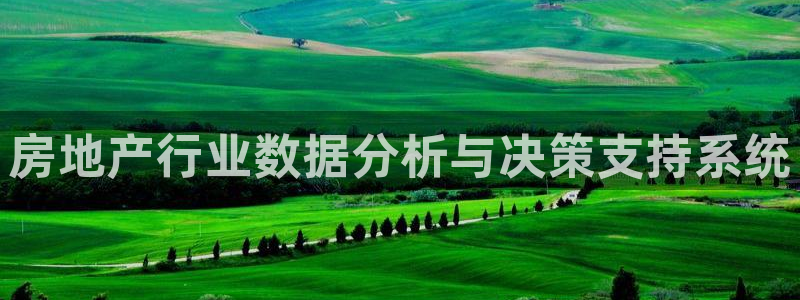 新宝5口67五壹叁八：房地产行业数据分析与决策支持系统