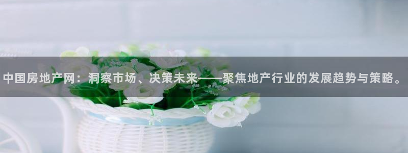 新宝b2O5O5O：中国房地产网：洞察市场、决策未来——聚焦