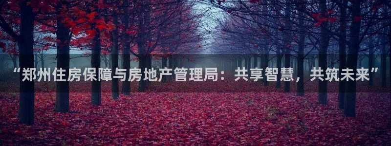 新宝5娱乐登陆：“郑州住房保障与房地产管理局：共享智慧，共筑