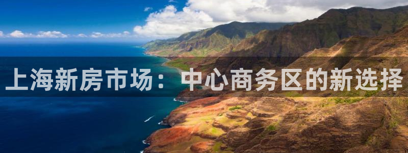 新宝5郑74OOO5：上海新房市场：中心商务区的新选择