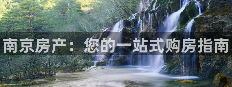 新宝5手机版登录：南京房产：您的一站式购房指南