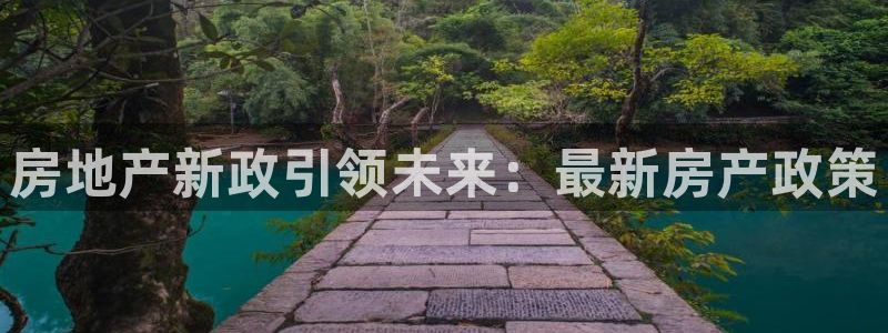 菲律宾新宝5老板：房地产新政引领未来：最新房产政策