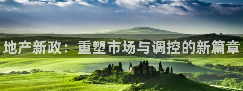 新宝cR一5：地产新政：重塑市场与调控的新篇章