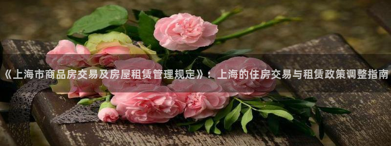 新宝6霸哥5：《上海市商品房交易及房屋租赁管理规定》：上海的