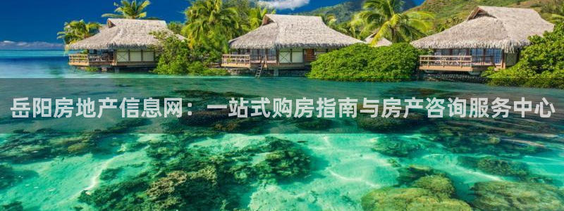 新宝5测速平台登录：岳阳房地产信息网：一站式购房指南与房产咨