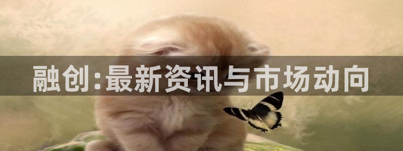 新宝娱乐5入口：融创:最新资讯与市场动向