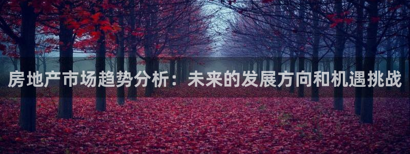 新宝5月：房地产市场趋势分析：未来的发展方向和机遇挑战