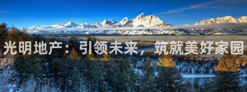 新宝5浗维33 300：光明地产：引领未来，筑就美好家园