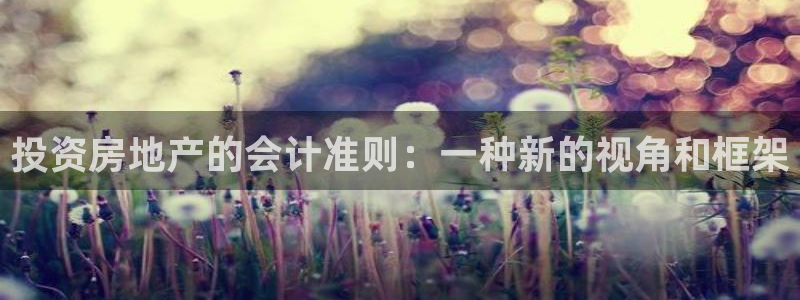 新宝5注册平台：投资房地产的会计准则：一种新的视角和框架