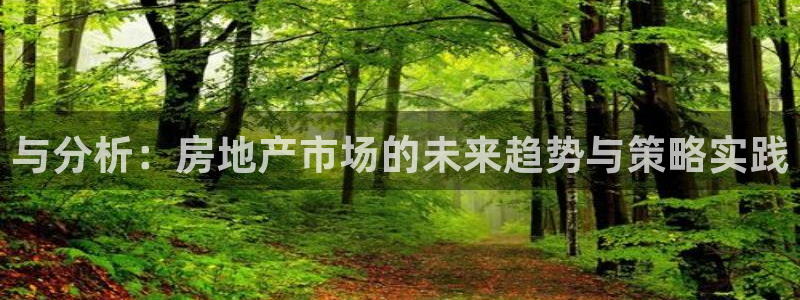 新5宝：与分析：房地产市场的未来趋势与策略实践
