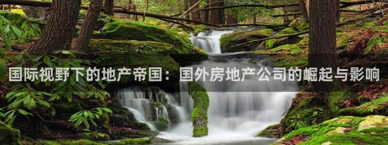 新宝5分彩：国际视野下的地产帝国：国外房地产公司的崛起与影响