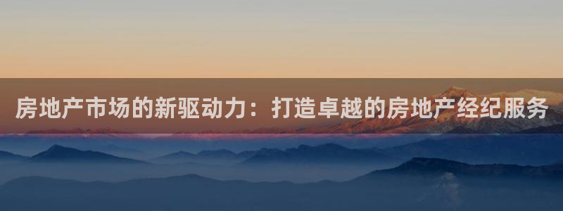 新宝5-：房地产市场的新驱动力：打造卓越的房地产经纪服务