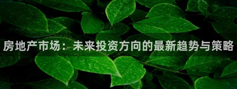 新宝5王问74OOO5：房地产市场：未来投资方向的最新趋势与