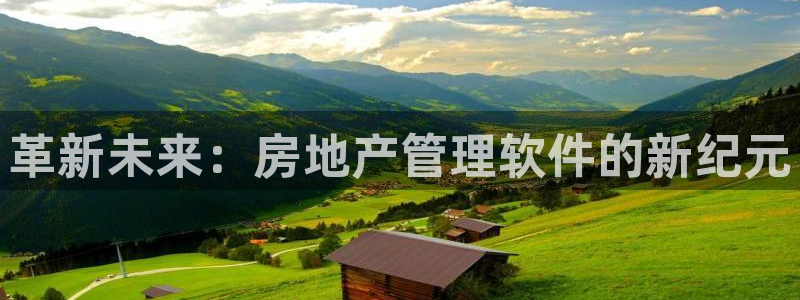 新宝5登录不了：革新未来：房地产管理软件的新纪元