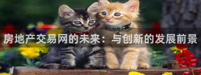 新宝5下载 迅雷下载：房地产交易网的未来：与创新的发展前景