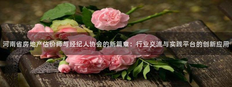 新宝5入口：河南省房地产估价师与经纪人协会的新篇章：行业交流