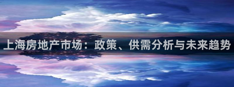 新宝5登录测速中心：上海房地产市场：政策、供需分析与未来趋势