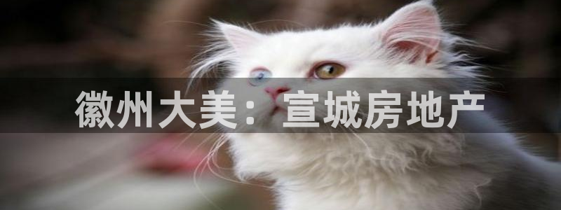 新宝奇迹GG5：徽州大美：宣城房地产