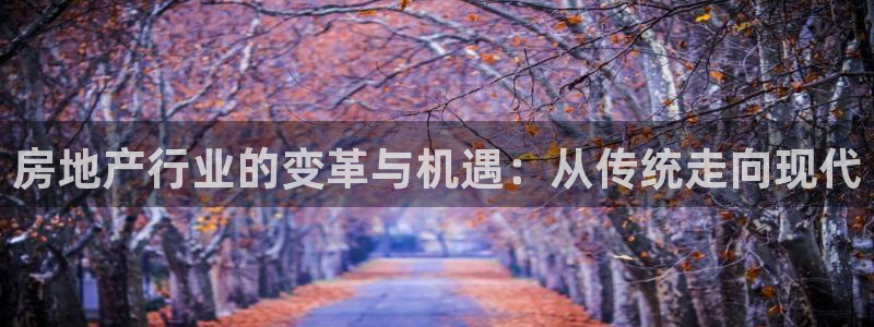 新宝5注册平台：房地产行业的变革与机遇：从传统走向现代