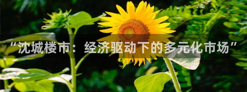 新宝5官网霸：“沈城楼市：经济驱动下的多元化市场”