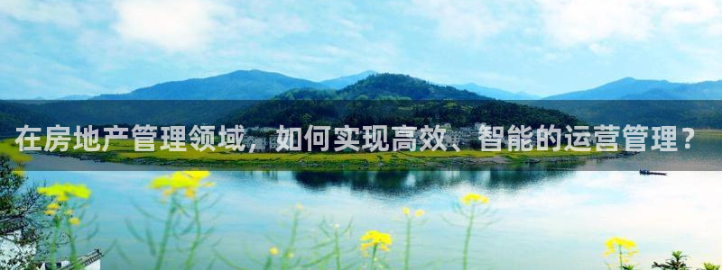 新宝5娱乐都：在房地产管理领域，如何实现高效、智能的运营管理