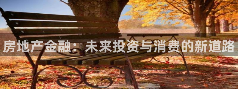 新宝5苹果手机下载：房地产金融：未来投资与消费的新道路