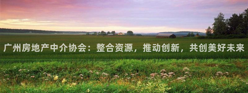 新宝5登陆：广州房地产中介协会：整合资源，推动创新，共创美好