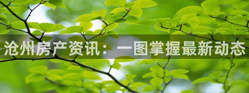 新宝5登陆：沧州房产资讯：一图掌握最新动态