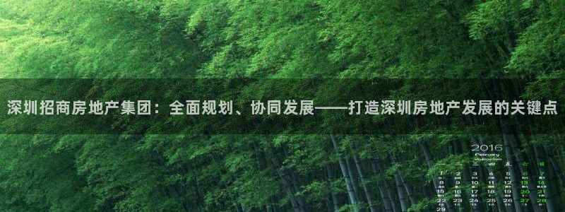 新宝那2O5O5O：深圳招商房地产集团：全面规划、协同发展—