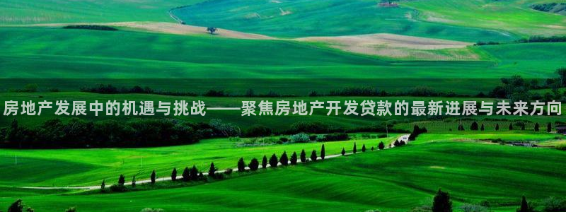 新宝5注册流程：房地产发展中的机遇与挑战——聚焦房地产开发贷