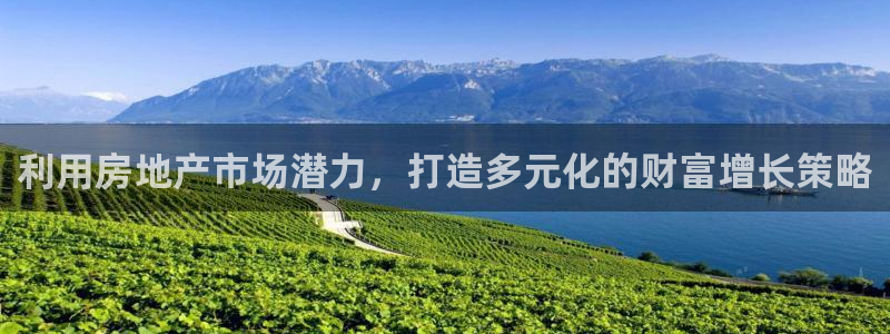 新宝速5：利用房地产市场潜力，打造多元化的财富增长策略