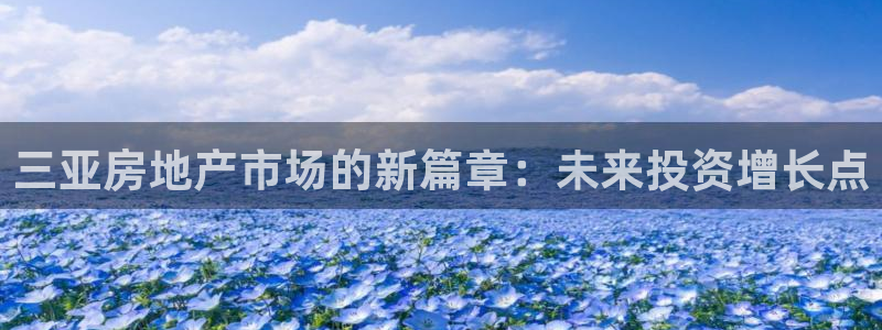 新宝5可靠吗：三亚房地产市场的新篇章：未来投资增长点