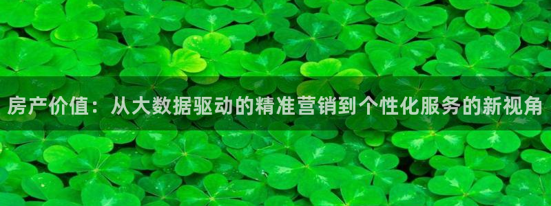 新宝5 注册：房产价值：从大数据驱动的精准营销到个性化服务的