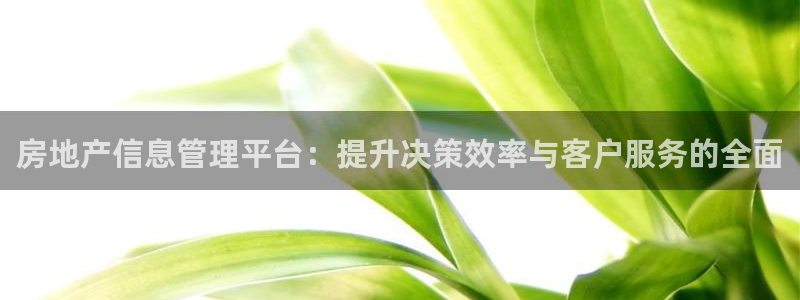 新宝5上来77542：房地产信息管理平台：提升决策效率与客户