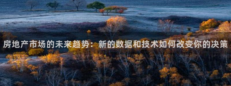 新宝5电脑：房地产市场的未来趋势：新的数据和技术如何改变你的
