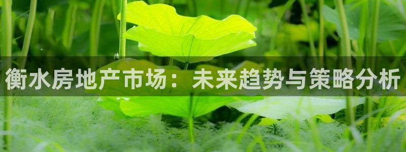 皇冠新宝5：衡水房地产市场：未来趋势与策略分析