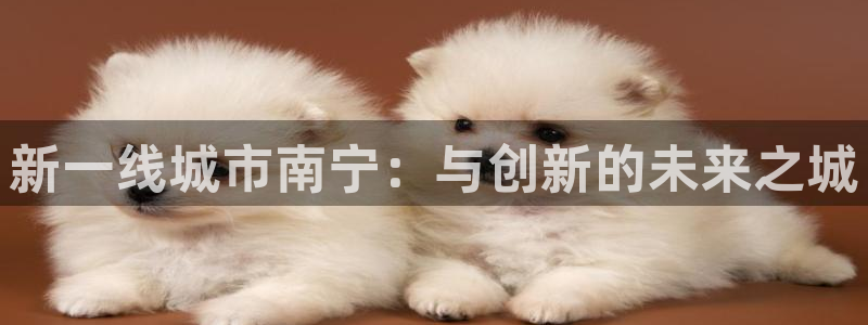 新宝5黑：新一线城市南宁：与创新的未来之城