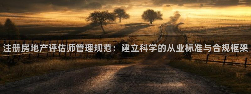 新宝娱乐5：注册房地产评估师管理规范：建立科学的从业标准与合