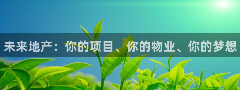 新宝娱乐5：未来地产：你的项目、你的物业、你的梦想