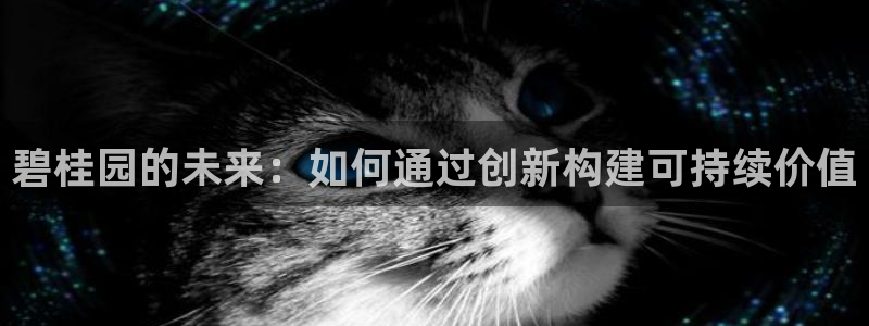 新宝5玩法