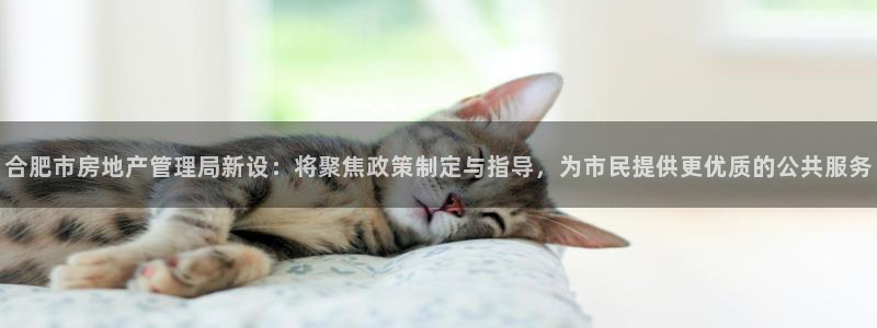 新宝5登录网址：合肥市房地产管理局新设：将聚焦政策制定与指导