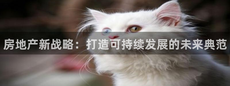 新宝5客户端登录：房地产新战略：打造可持续发展的未来典范