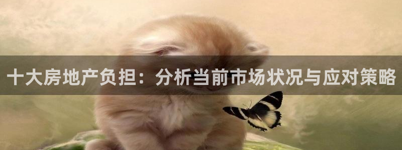 新宝5娱乐没：十大房地产负担：分析当前市场状况与应对策略