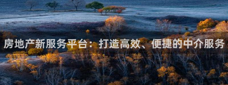 皇冠新宝5：房地产新服务平台：打造高效、便捷的中介服务